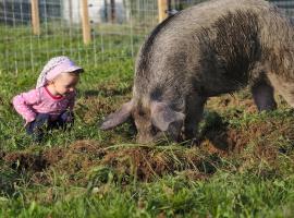 Bio-Bauernhof Wilfling, hotel s parkiralištem u gradu 'Miesenbach'