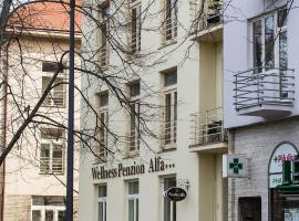 Penzion Alfa Poděbrady, homestay in Poděbrady