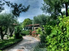 B&B Villa Miramì