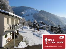 Steiert Panorama Apartments Todtnau, three-star hotel in Todtnau