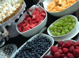 Residencial del Maule, hotel near Linares - ZLR, Linares