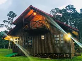 Cabaña rodeada de naturaleza en San Carlos