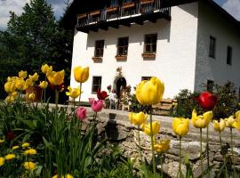 Ferienhof Rotbuchner, hotel in Vorderstoder