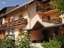 Apartments Mencinger, skigebied in Bohinj