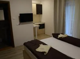 Atomski cvet Atomska banja Gornja Trepča