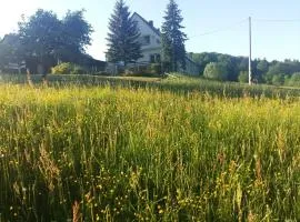 AGROTURYSTYKA RASZKÓW