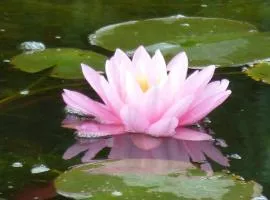 Wellness- und Gartenhotel Heusser