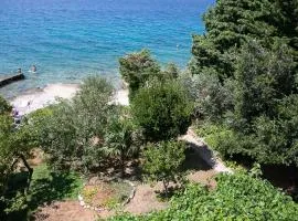 Apartmani Herceg