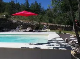 DOMAINE VILONAPA - villa Figuier