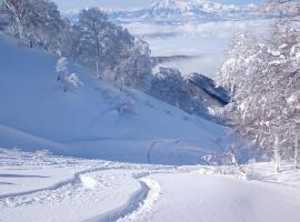 Nozawa Dream Central, hotel em Nozawa Onsen