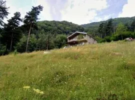 Guesthouse Gama in Khevsureti