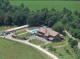 Il Palluccaro