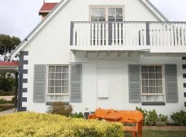 Swansea Cottages & Lodge Suites
