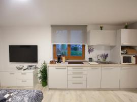 Studio Jan, ξενοδοχείο για ΑμεΑ σε Zgornje Gorje