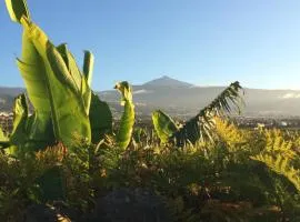 FINCA LA PLANTACIÓN _Agroturismo