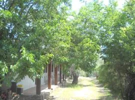 Agriturismo Su Tiresi