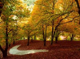 Casas Rurales El Viejo Castaño - Valle Del Genal, venkovský dům v destinaci Pujerra