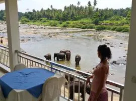 Hotel Pinnalanda - NEW DEAL! Half Off Airport Pickups Available