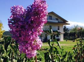 Agriturismo Le Terre d'Abruzzo Country House, casa rural en Alanno