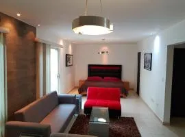 Contry La Silla Apartments zona tec - Nuevo Sur