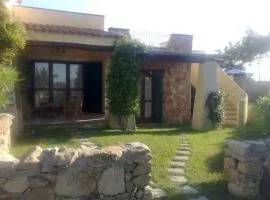 Honey's little house