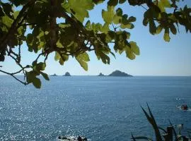 Le Bouganville