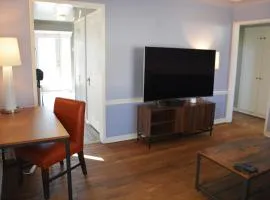 Stunning Downtown Royal Oak Townhouse (909)