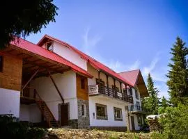 Pensiunea Montana Muntele Mic