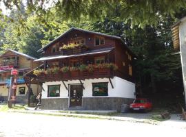 Pensiunea DANA, hotel a Predeal