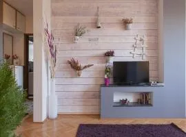 VIOLET APARTMENT