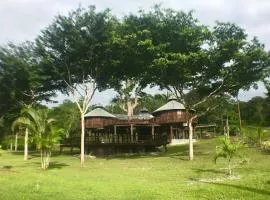 Exotic High End Unique Off-The-Grid Treehouse, steps away from the Mopan River!