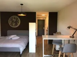 Large Studio Near Epfl And Lausanne City Center