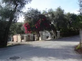 Natsios Apartments