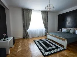 White Spacious Apartment
