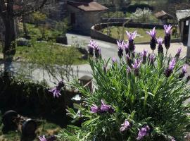 moonflower, hotel sa Pliskovica