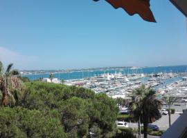 Grand studio climatisé en bord de mer avec parking sécurisé, hotel de playa en Golfe-Juan