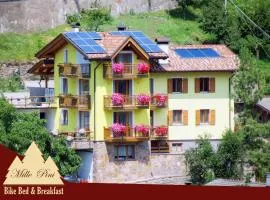 Bike Bed&Breakfast Mille Pini