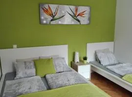 Apartments Grudnik with free parking