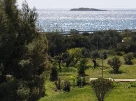 Beachfront/lagonisi/Sounio