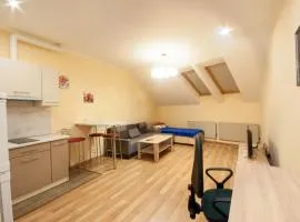 Wonderful flat on city center (Mukachivska 4/17)