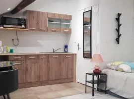 Appart hotel sathonay rillieux Lyon