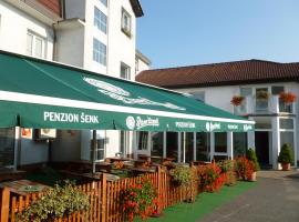 Penzion Šenk Pardubice – hotel w pobliżu miejsca Lotnisko Pardubice - PED 