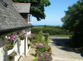 Southdown B&B – hotel w mieście Clovelly