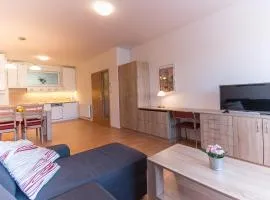 Apartmán U Lázní D23