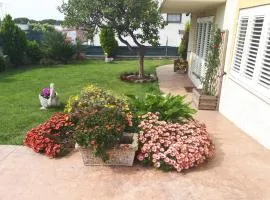 Bed and Breakfast Angolo Fiorito