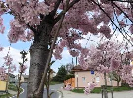 Apartmány na Vršku