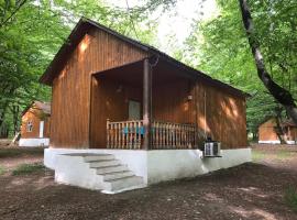 Cool Forest-Sərin Meşə, hotel v destinaci Gabala