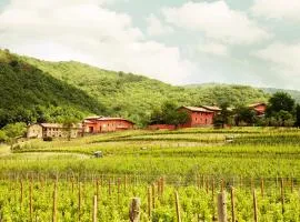 Agriturismo l'Uva e le Stelle