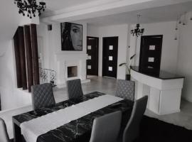 Pensiunea Timiș, bed & breakfast i Borşa