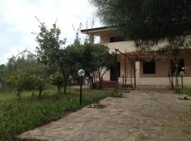 Azalee P2228